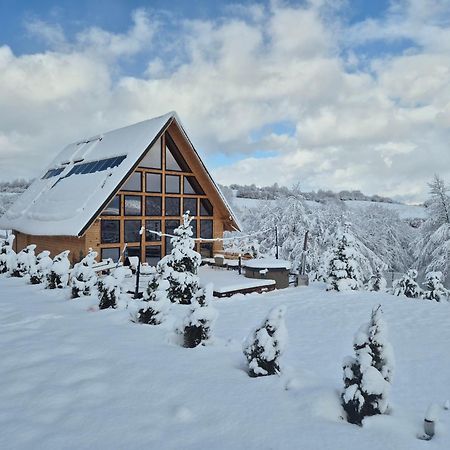 Cabana Timbernest Bran  Exteriér fotografie