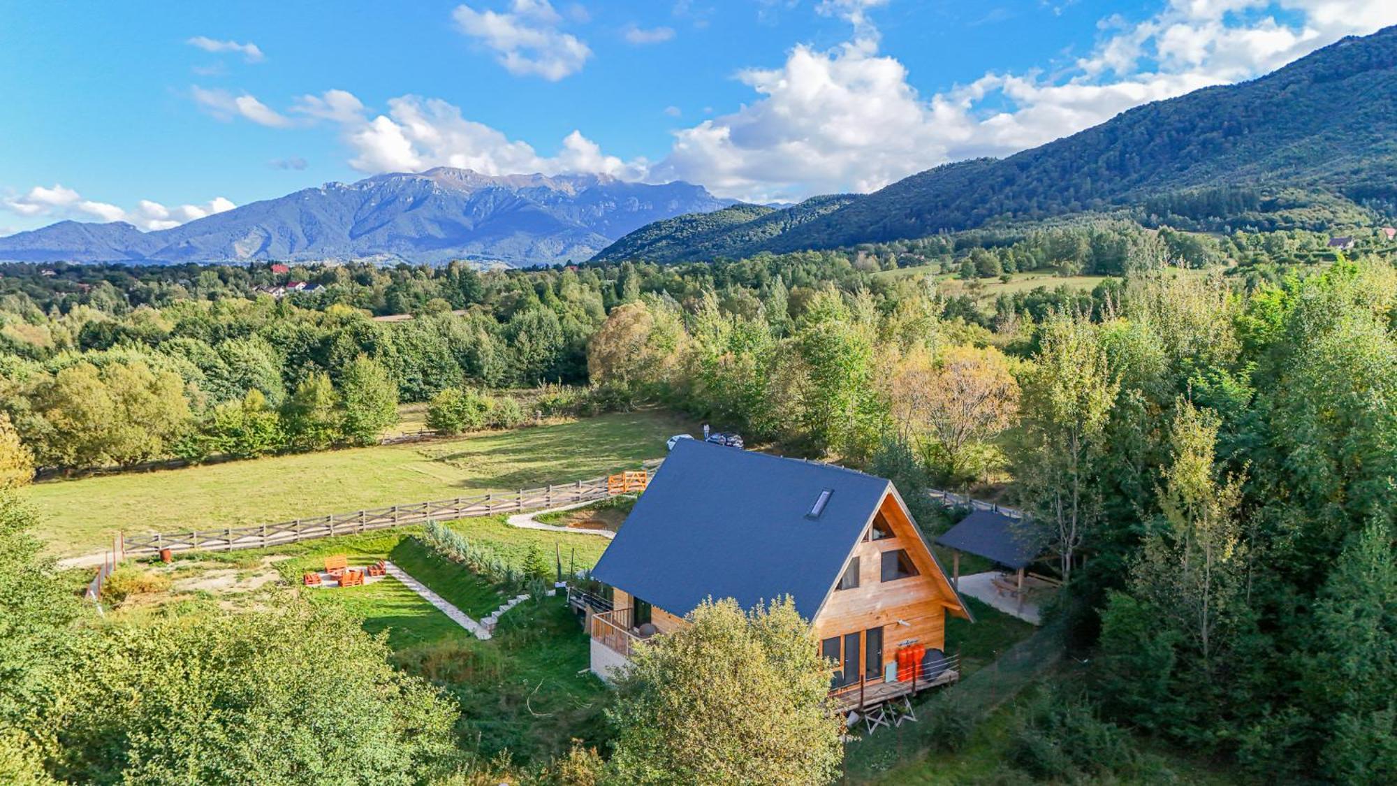 Cabana Timbernest Bran  Exteriér fotografie