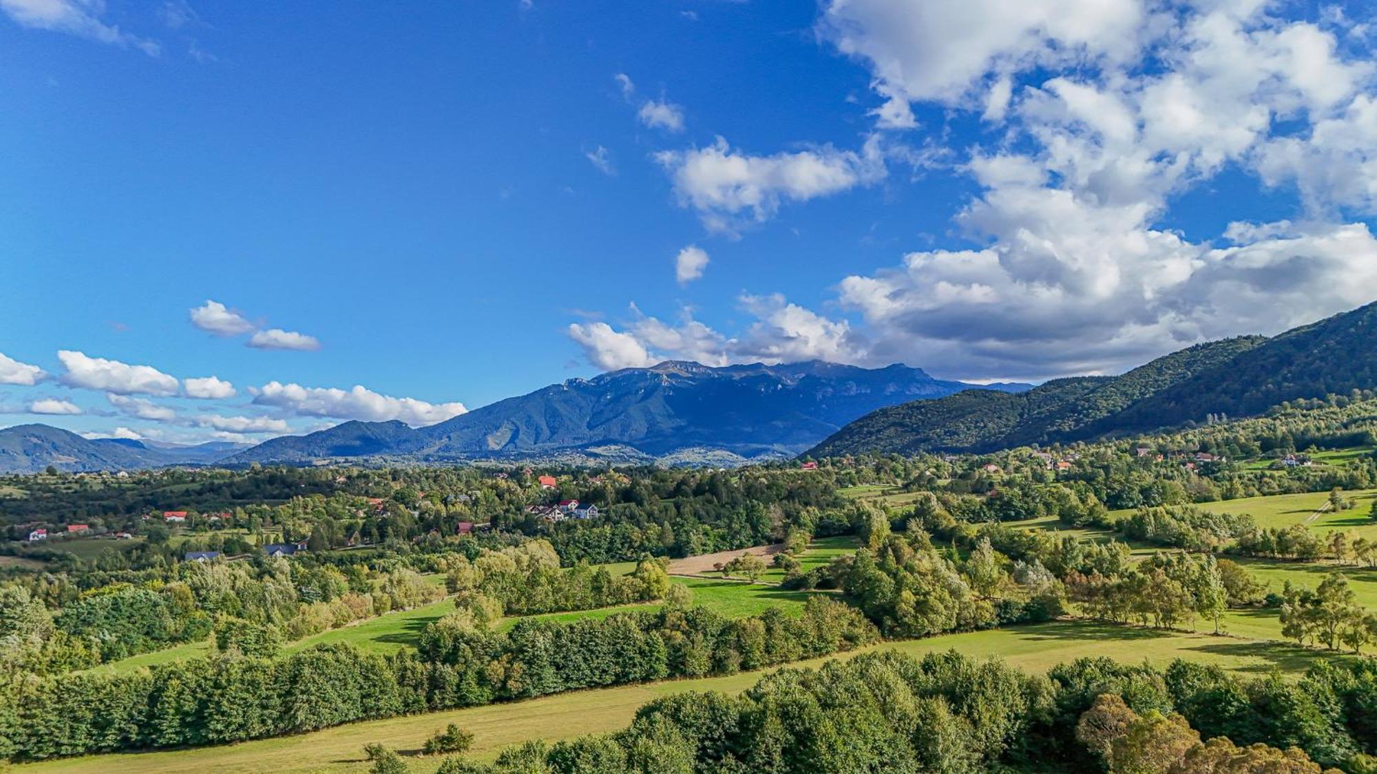 Cabana Timbernest Bran  Exteriér fotografie