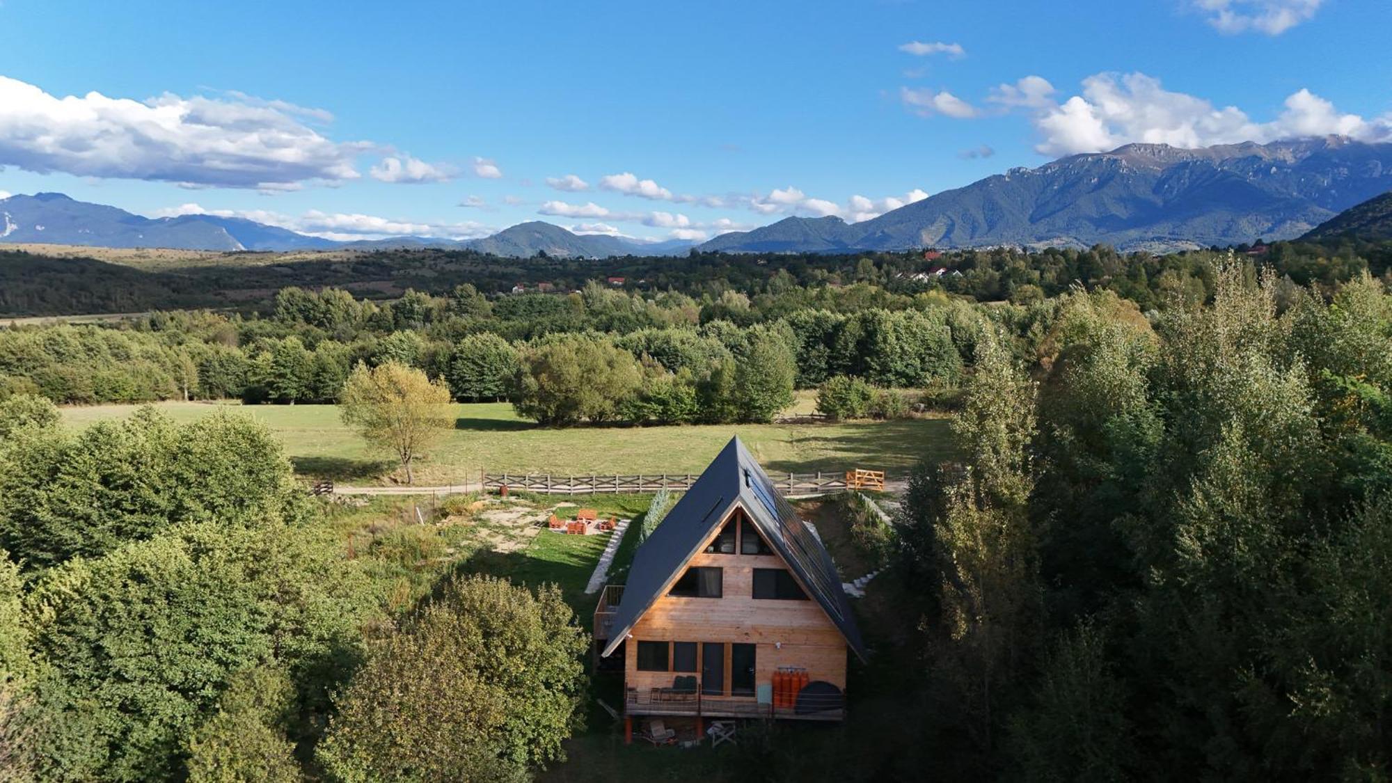 Cabana Timbernest Bran  Exteriér fotografie