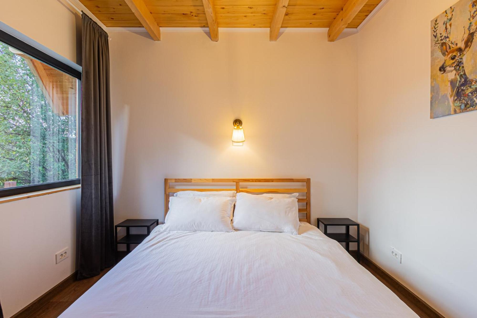 Cabana Timbernest Bran  Exteriér fotografie