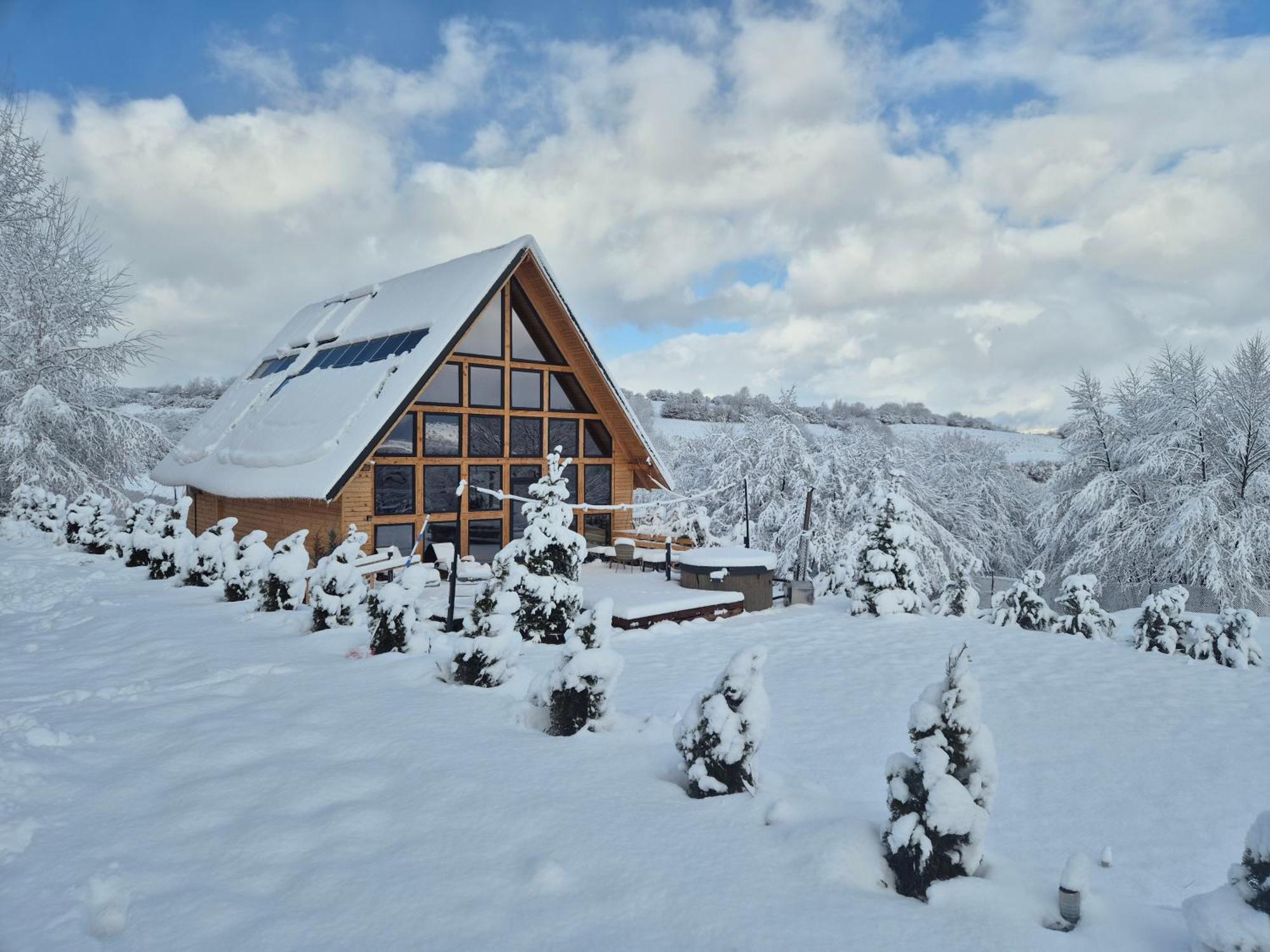 Cabana Timbernest Bran  Exteriér fotografie