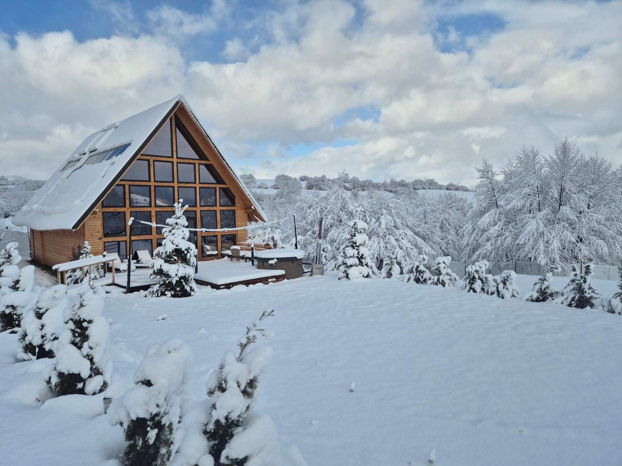 Cabana Timbernest Bran  Exteriér fotografie